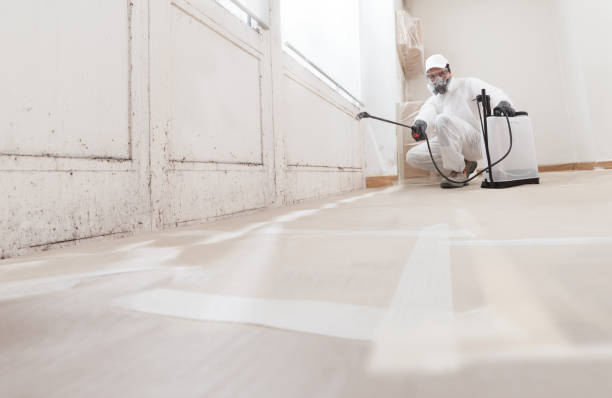 24/7 Emergency Mold Remediation experts in Richmond, IL